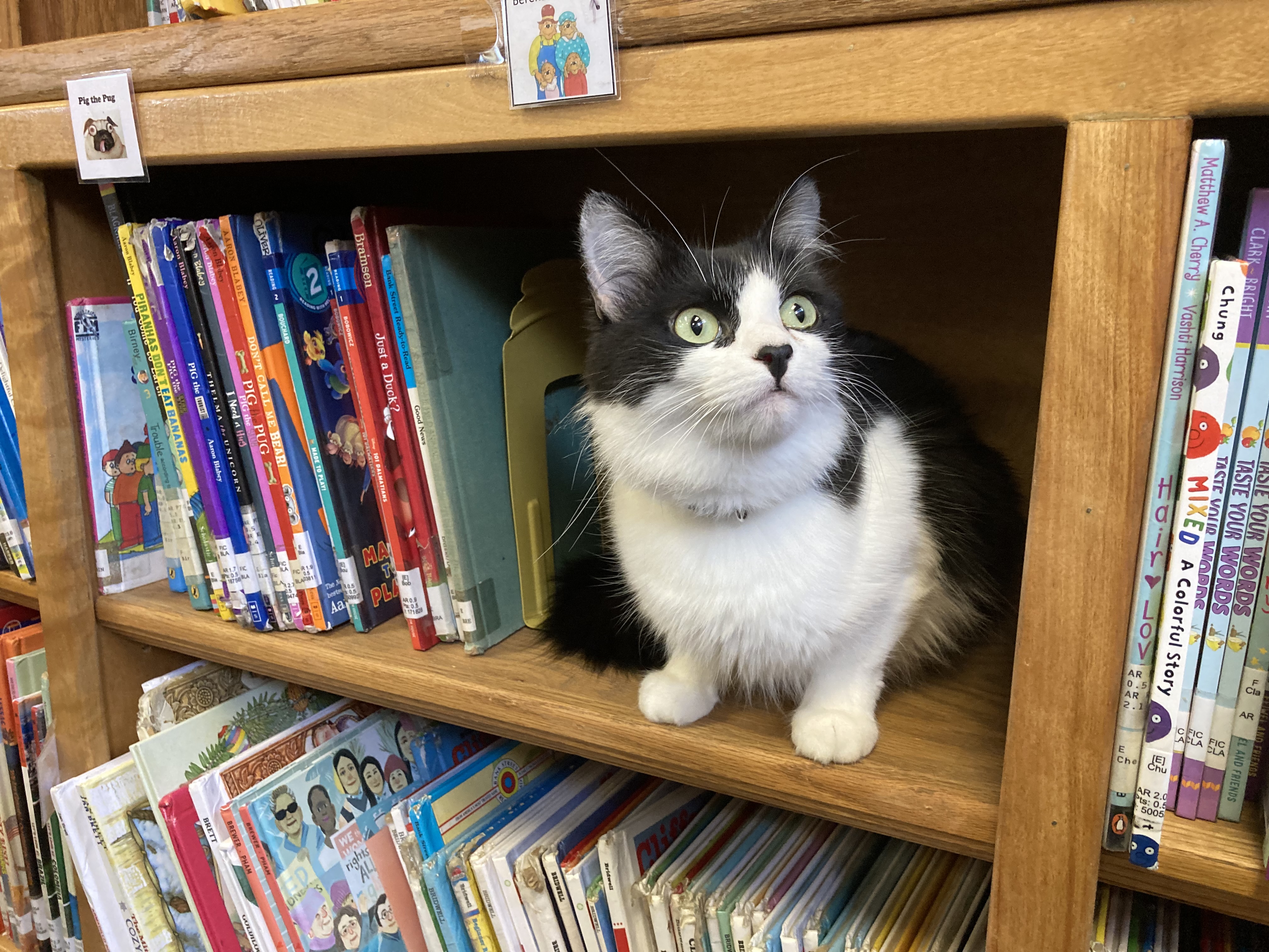 Our books! – Academic Play Books